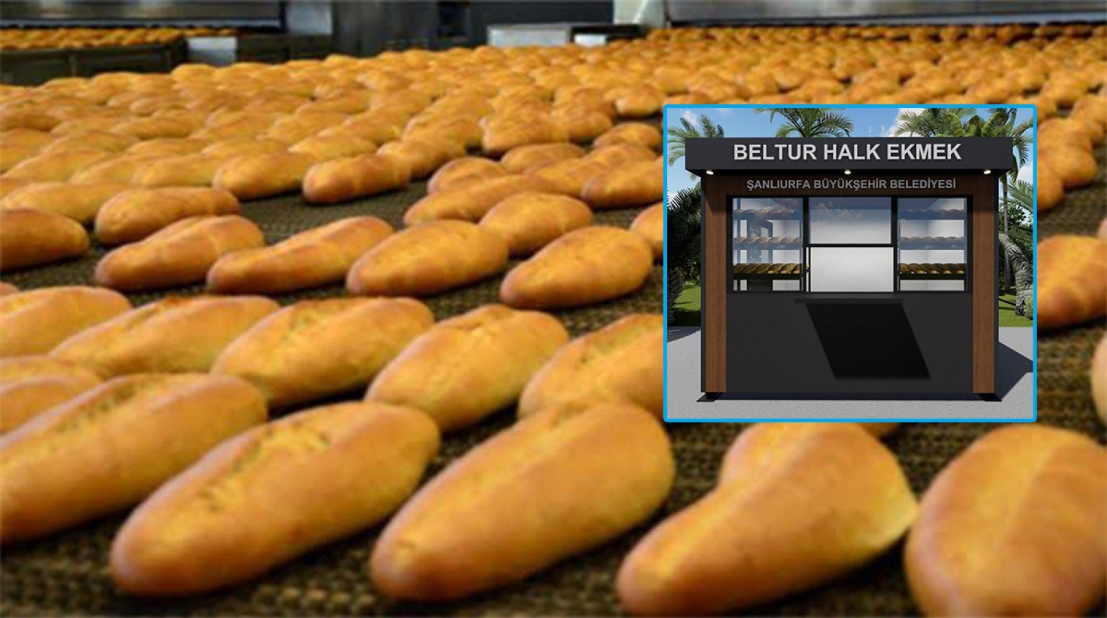 Şanlıurfa Halk Ekmek Fabrikası Açılıyor Beltur Ekmeğin Satış Noktalarını Belirledi..;