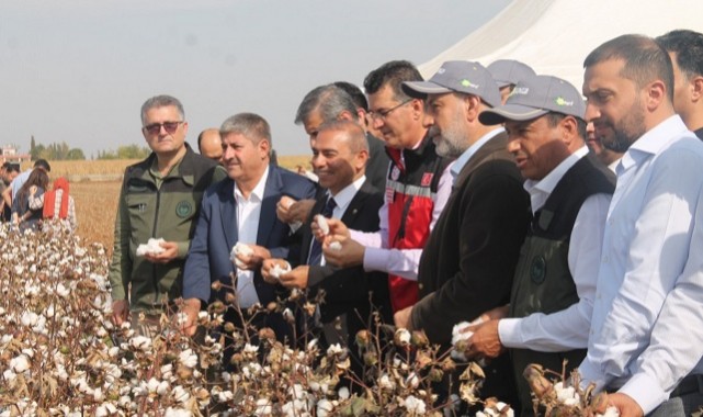 Türkiye'de En Çok Şanlıurfa'da Yetiştirilen Pamuk için Festival Yapıldı