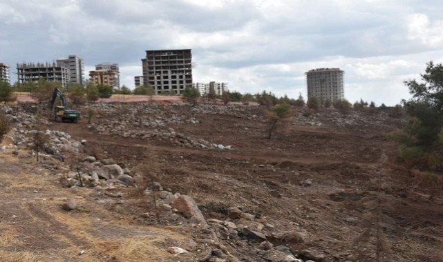 Şanlıurfa'da Yanan Ormanlarla İlgili Önemli Karar;