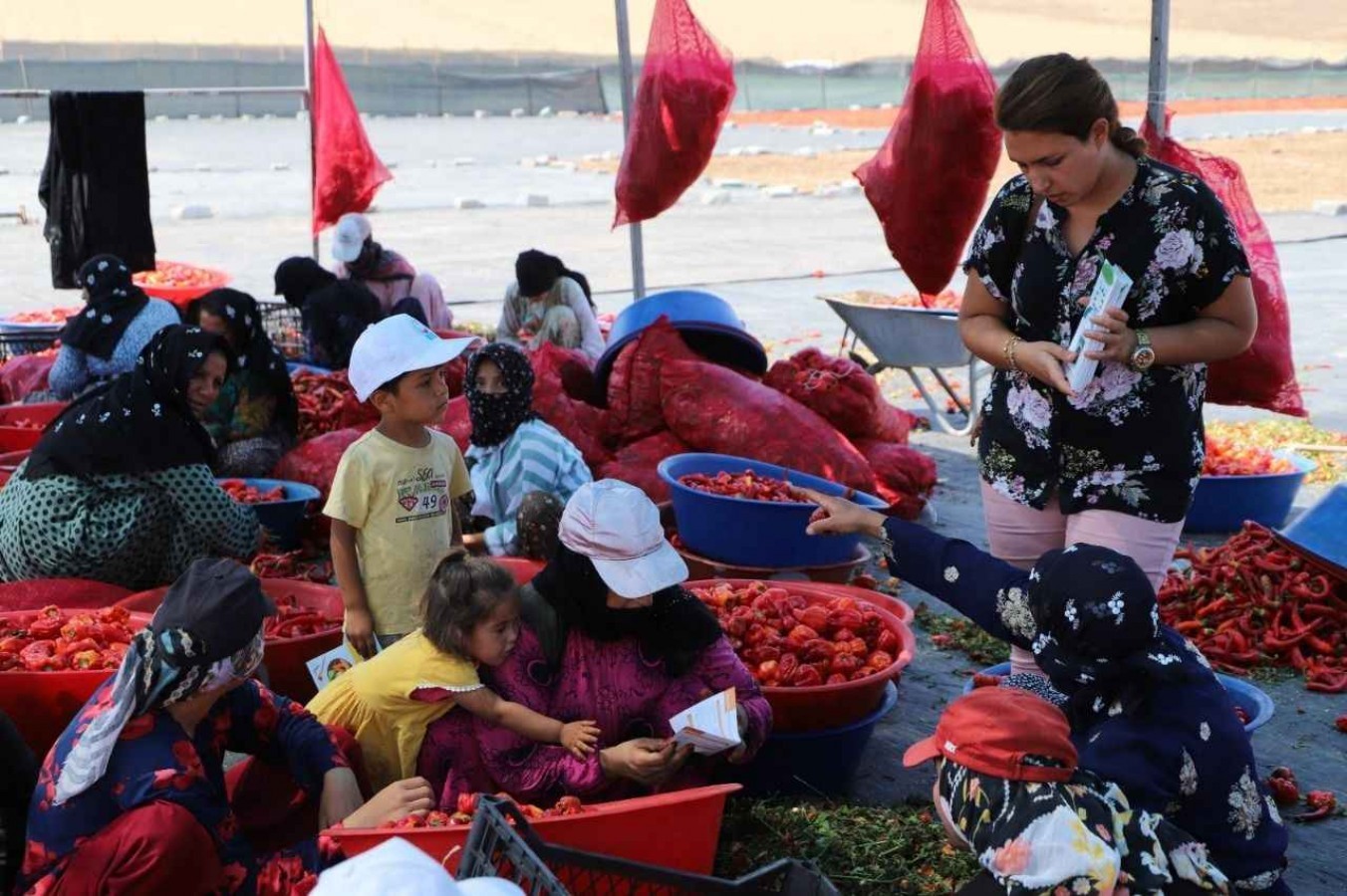 TUİK Açıkladı Şanlıurfa'da Kadın İstihdamı En Düşük İllerden;