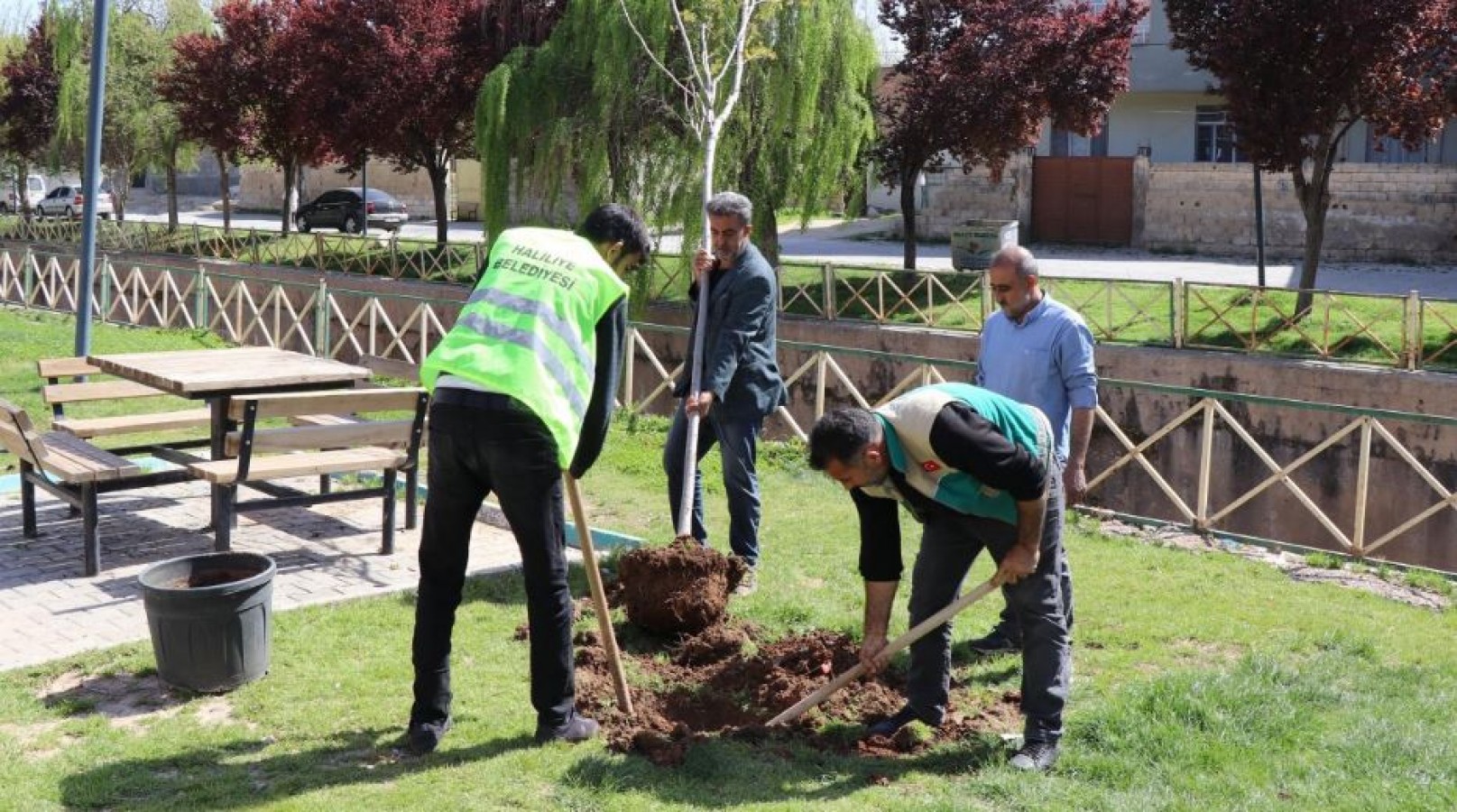 Haliliye'de Park ve Bahçeler Yaz Aylarına Hazırlanıyor;