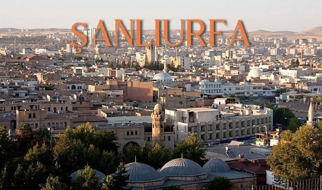 Şanlıurfa Bu Alanda Türkiye'de Birinci..