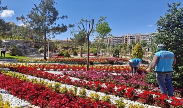 Eyyübiye'de Botanik Parkı Açılıyor