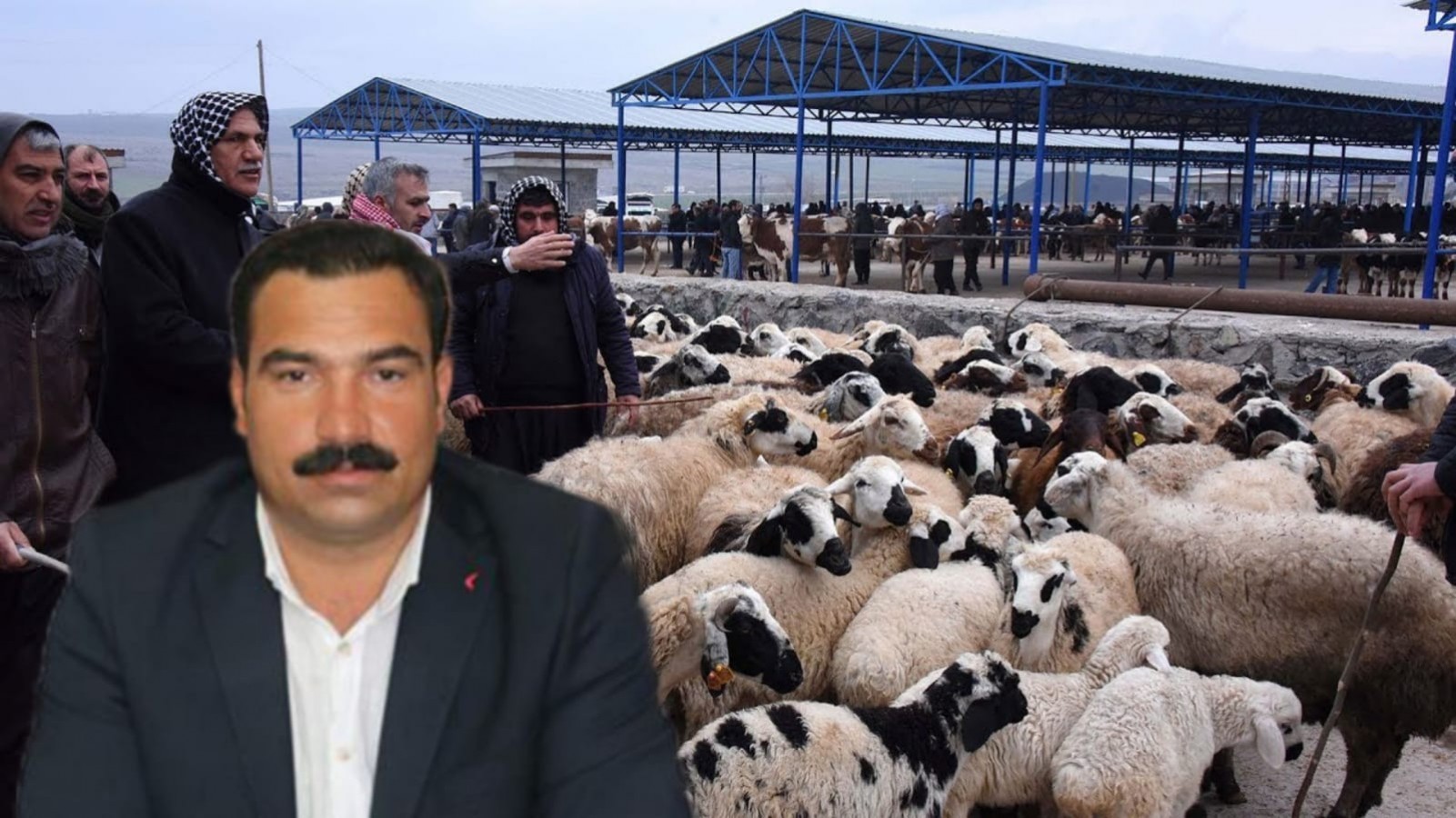 Şanlıurfa'da Canlı Hayvan Pazarı Kapatıldı;