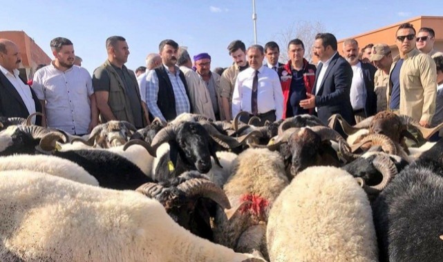 Vali Şıldak ve Müdür Aksoy'dan Kurban Pazarında inceleme;