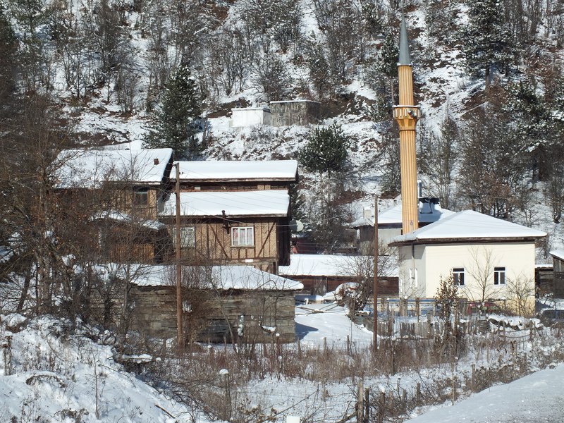 Cide Çatören Köyü ve çevresi