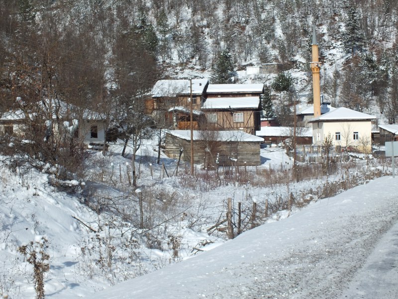 Cide Çatören Köyü ve çevresi