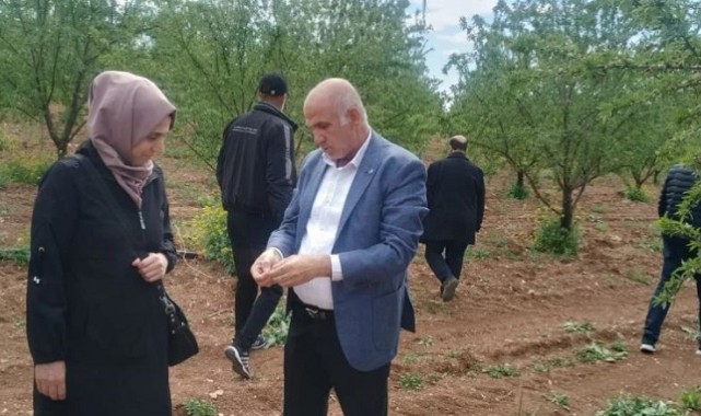 Urfa'daki Tarım Ekipleri Don Olayı için Sahada