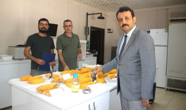 Şanlıurfa Gaptaem'de Başlatılan Proje Dünyada İlk;