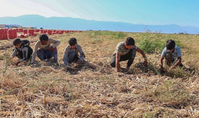 Şanlıurfa'da Mevsimlik Tarım işçilerinin Sorunları Tartışıldı