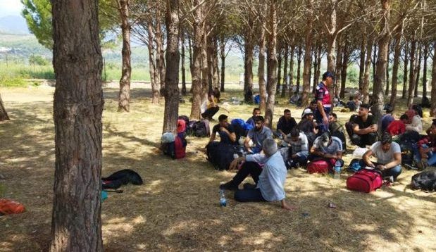 Şanlıurfa'da Görünen Göçmenler Jandarmaya Yakalandı..