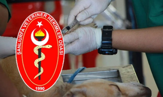 Urfa'da Veteriner Hekimler İş Bırakma Eylemi Yapacak