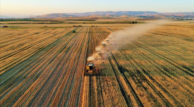 Bakan Pakdemirli açıkladı! Cumhuriyet tarihinin rekoruna ulaşıldı