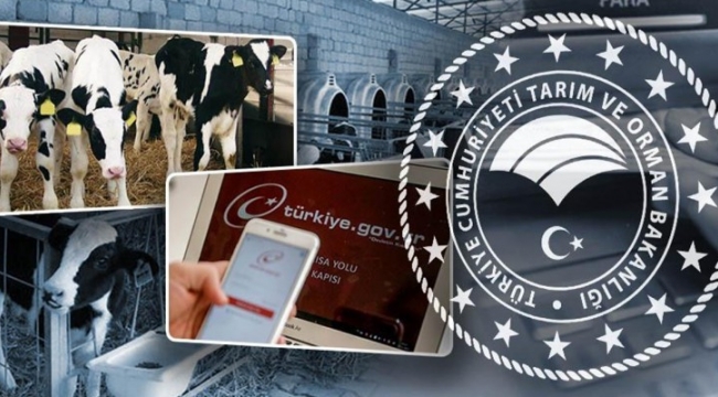 Destek başvuruları e-devlet'ten başladı: İşte detaylar;