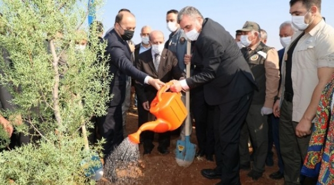 Şanlıurfa&#39;da fidan dikme etkinliği yapılacak;