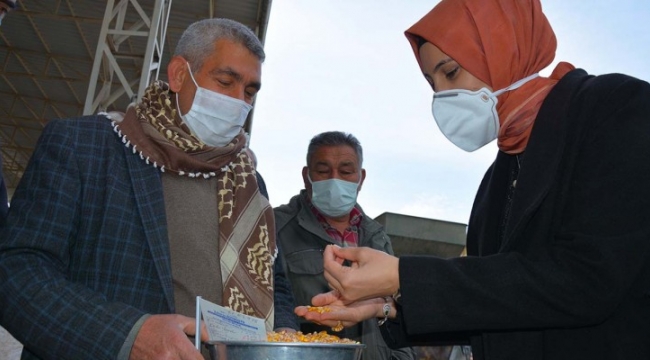 Ayşe Çakmak, buğday pazarı esnafını dinledi;