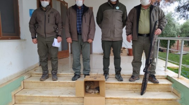 Ceylanpınar'da kaçak avcı yakalandı;