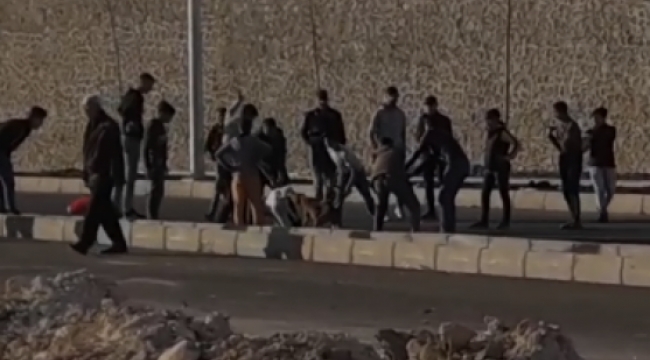 Şanlıurfa'da bir grup çocuk köpekleri kemerle dövdü;