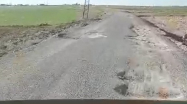 Şanlıurfa'da bir vatandaş bozuk yollara isyan etti;