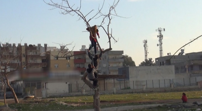 Urfa'da çocukların tehlikeli şakalaşması;