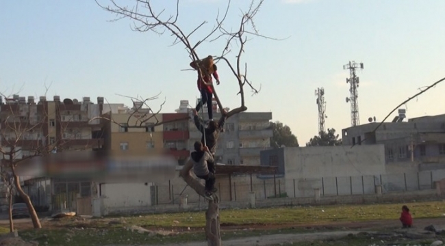 Urfa&#39;da çocukların tehlikeli şakalaşması;