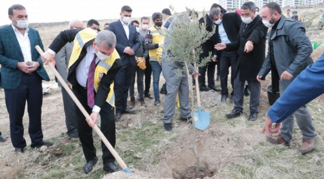 Urfa&#39;da yeni yerleşim alanlarında ağaç dikim seferberliği başladı;