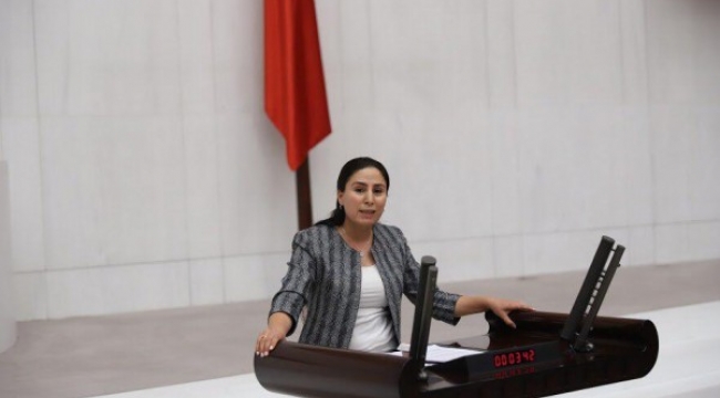 Urfalı vekil, DEDAŞ sorununu TBMM'ye taşıdı;