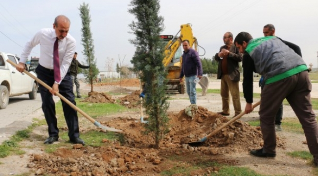 Akçakale'de ağaç dikim çalışmaları sürüyor;