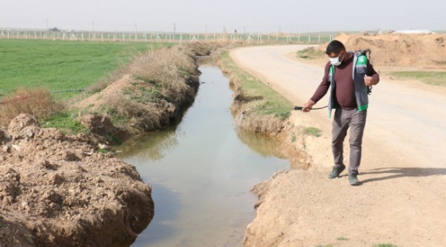 Akçakale'de larva ile mücadele çalışmaları devam ediyor;