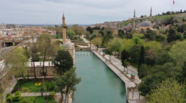 Balıklıgöl’de ölen balıkların kayıtları oluşturuluyor;