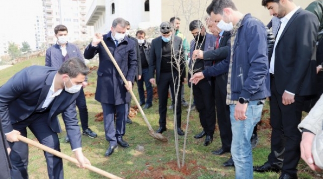 Karaköprü'de Fidanlar toprakla buluştu;