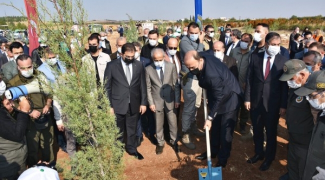 Şanlıurfa’da 2020 yılında 1 Milyon 107 Bin fidan dikildi