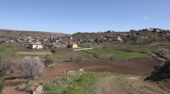 ŞANLIURFA - Kuraklık endişesi yaşayan çiftçiler yağmur duasına çıktı;