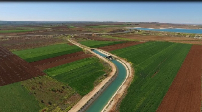 Suruç Sulama Projesi,190 bin kişi istihdam sağlayacak;