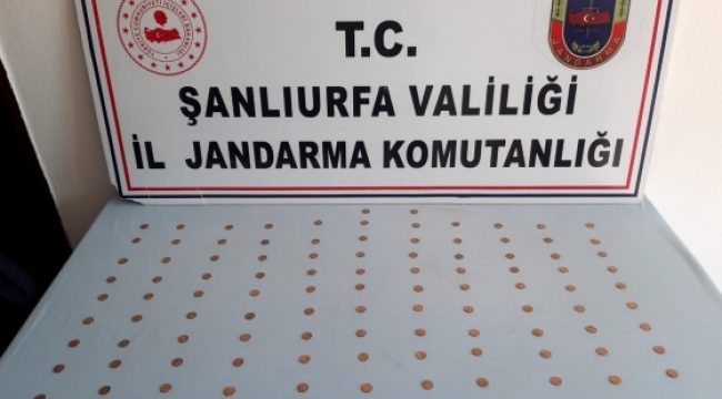 Viranşehir ilçesinde Bizans dönemine ait 110 altın sikke ele geçirildi;