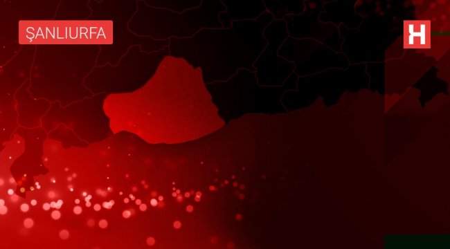 Şanlıurfa'da 15 ayda terör operasyonlarında 245 zanlı tutuklandı;