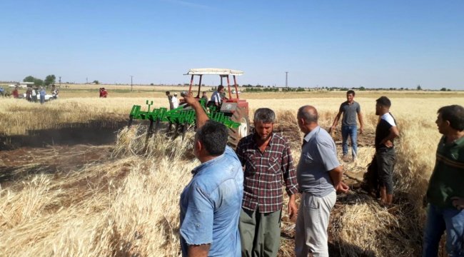 Buğday tarlasında yangın nöbeti;