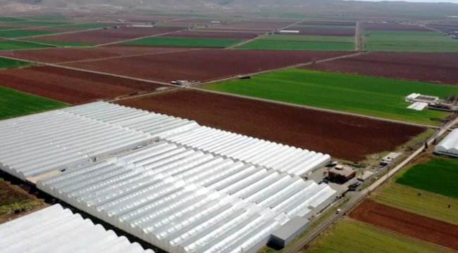 Şanlıurfa'da Jeotermal Enerji Kullanılarak Seracılığın Yapılması Hedefleniyor