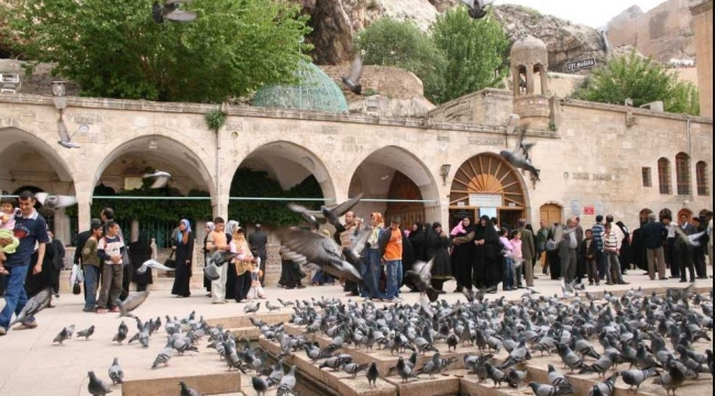 Arife günü 1000 ihlas Suresi okumanın fazileti ve önemi;