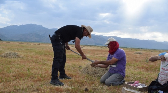 Harran Üniversitesinden Yapay Zekâ Destekli Dijital Tarım Projesi Tübitak da Kabul Edildi;