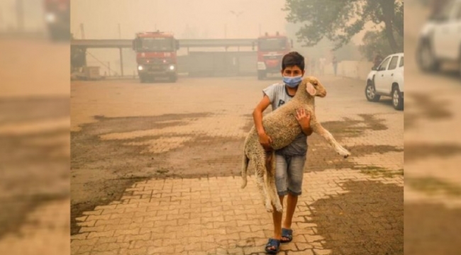 Kuzuyu Kucaklayan Şanlıurfa'lı Çocuk Yangının Simgelerinden Oldu;