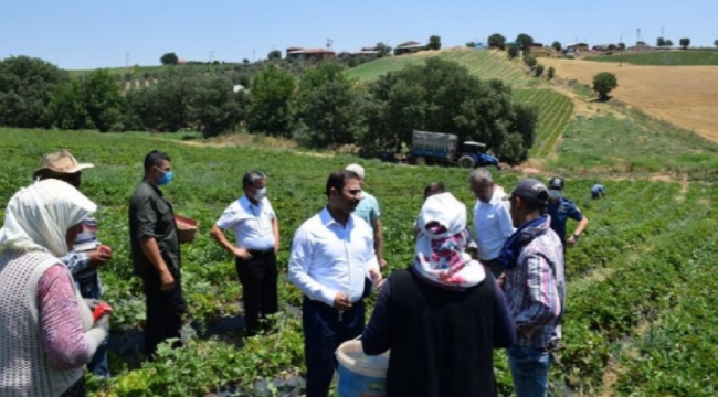 Tarlada ki Mevsimlik İşçilerin Sorunlarını Urfalı Kaymakam Çözdü;