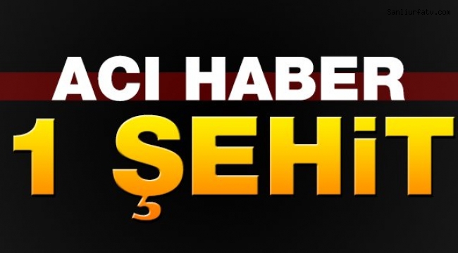 Kahreden Haber 1 Şehit;