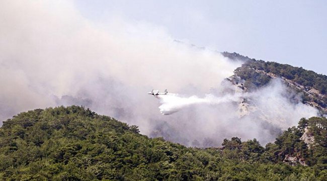 Kazdağları son dakika bilgisi Kazdağlarında  Yangına müdahale tekrar başladı;