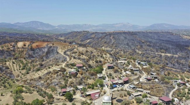 Orman yangınlarına ilişkin STK'lerden ortak açıklama