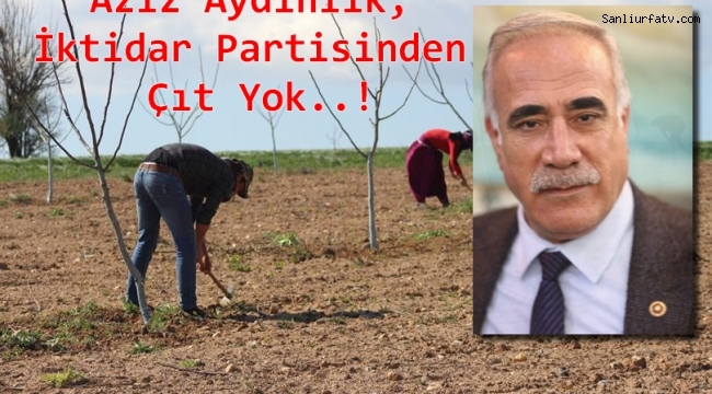 Şanlıurfa Vekili Aziz Aydınlık Tarım İşçileri Açıklamasında İktidarı Eleştirdi;