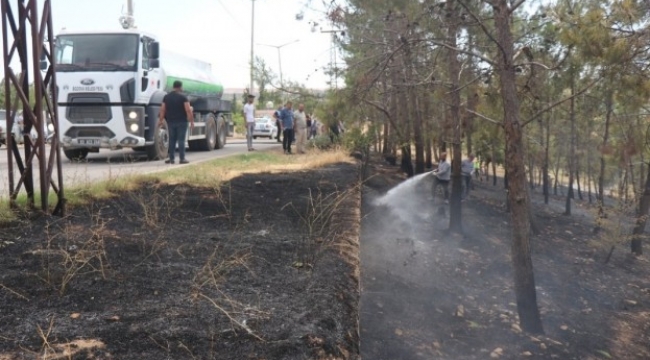 Sondakika Bozova'da Orman Yangını..;