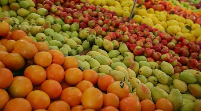 Yaş meyve sebze ihracatı son bir yılda 3 milyar doları aştı