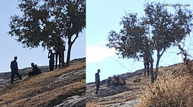 Şanlıurfa'da İntiharlar Önlenemiyor Urfalı Genç Kendini Ağaca Astı..