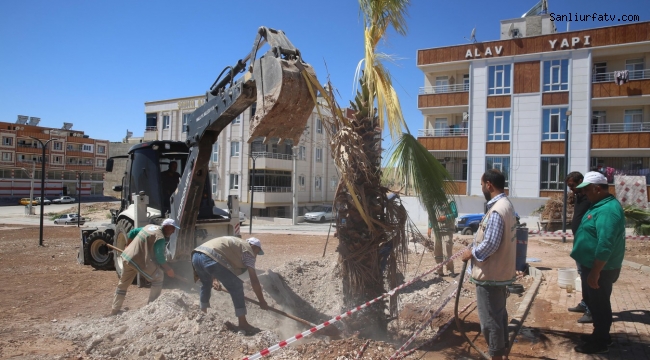 Yeşilin ve doğanın kalbi Haliliye Sloganı ile Sonbahara Hazırlık